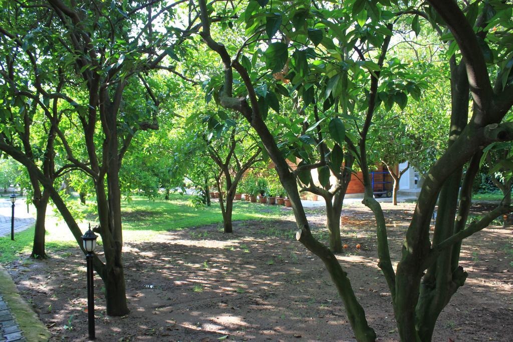 Yildiz Pension Bungalows ชิลารึ ภายนอก รูปภาพ