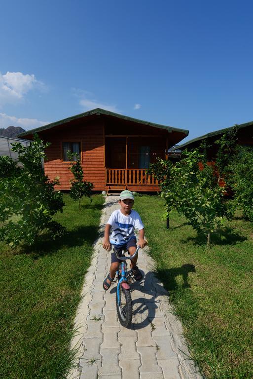 Yildiz Pension Bungalows ชิลารึ ห้อง รูปภาพ