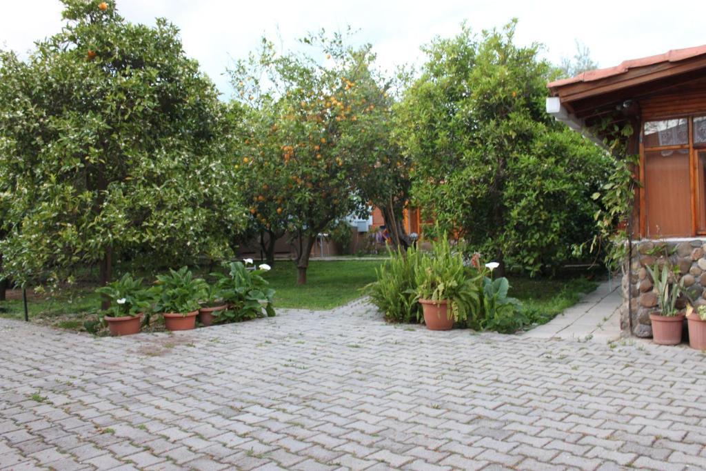 Yildiz Pension Bungalows ชิลารึ ภายนอก รูปภาพ